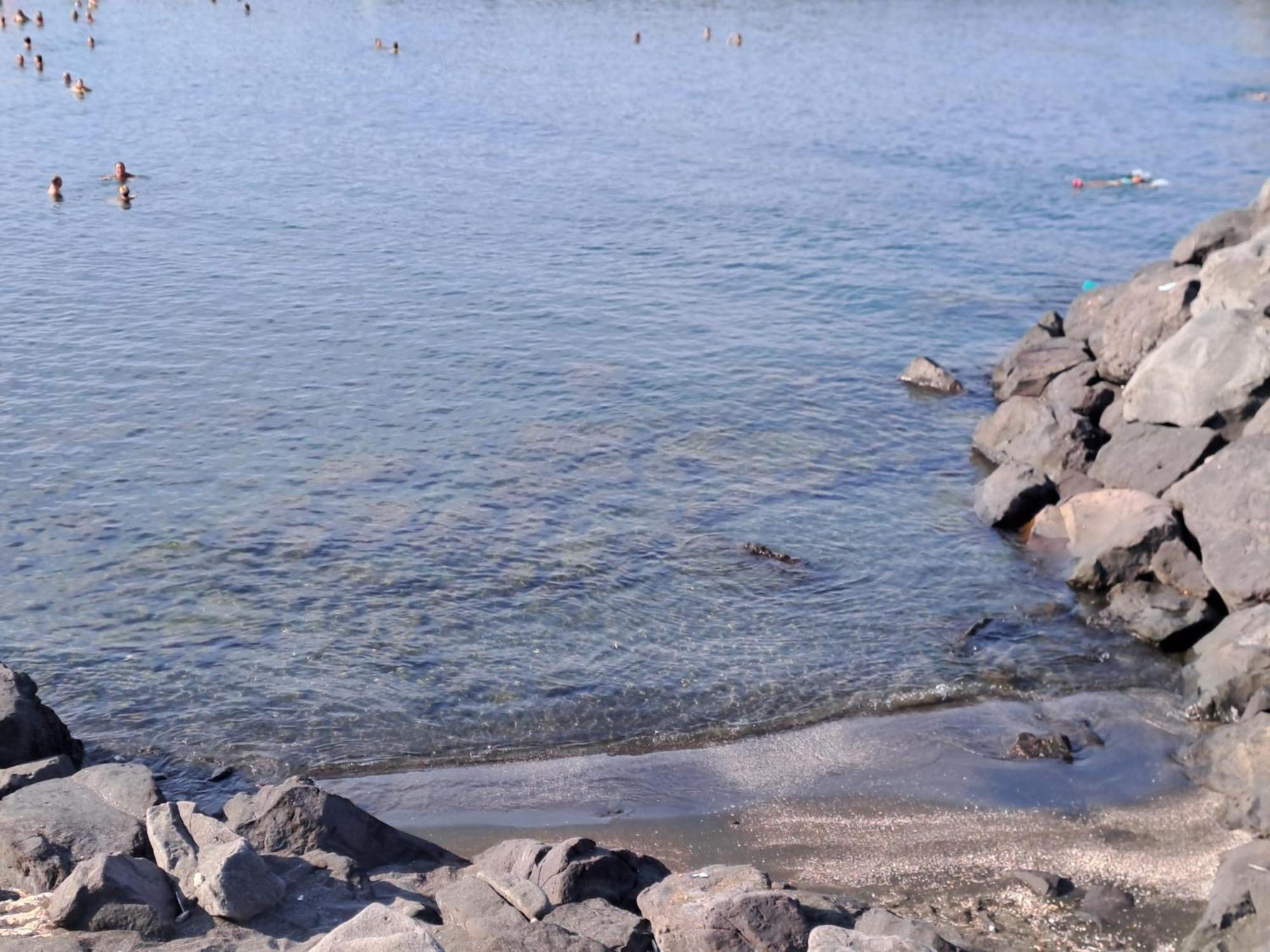 Neapolis Bay Lägenhet Portici Exteriör bild